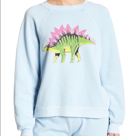 Wildfox Tops - Wildfox Prehistoric Sommers Sweatshirt Dinosaur M